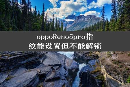 oppoReno5pro指纹能设置但不能解锁