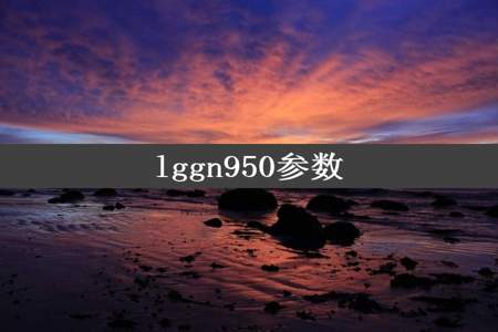 lggn950参数