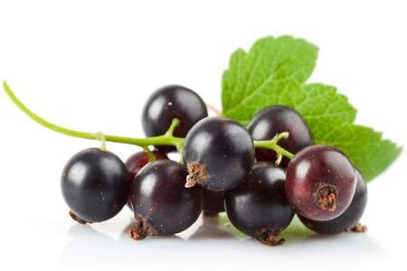 吃葡萄说葡萄酸的前一句是什么