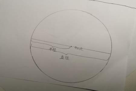 画圆时，圆规两脚间的距离是圆的什么