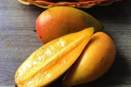 跟芒果好像的水果是什么水果