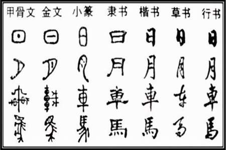 汉字可以组什么字