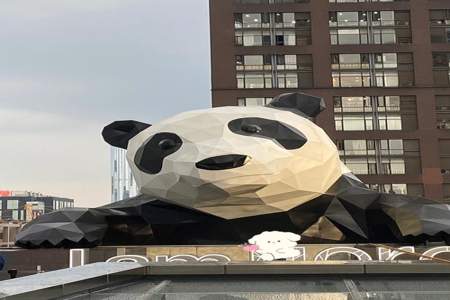国际金融中心大熊猫怎么上去