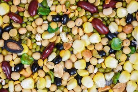 大圣歌豆豆豆是什么