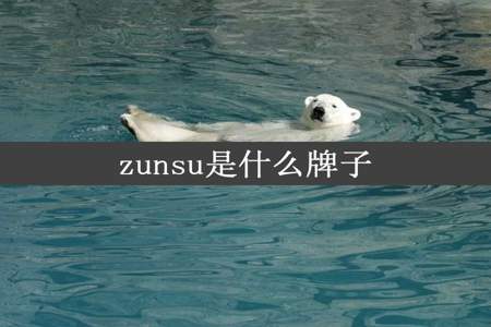zunsu是什么牌子