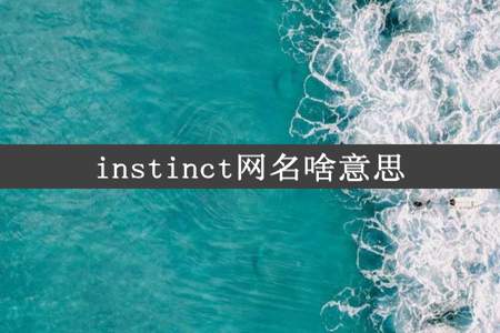 instinct网名啥意思