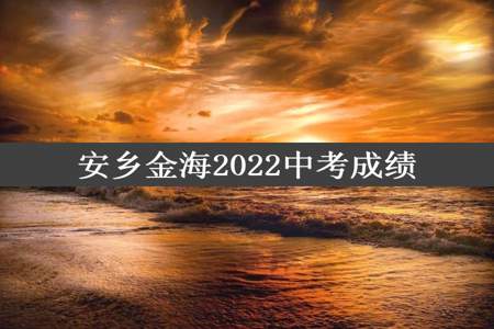 安乡金海2022中考成绩