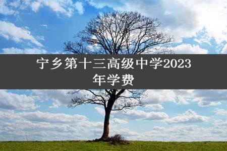 宁乡第十三高级中学2023年学费
